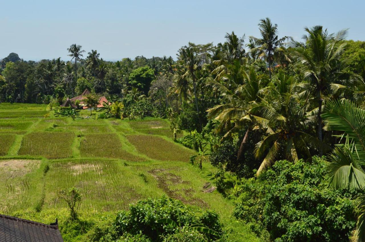 Askara Guest House & Hostel อูบุด ภายนอก รูปภาพ